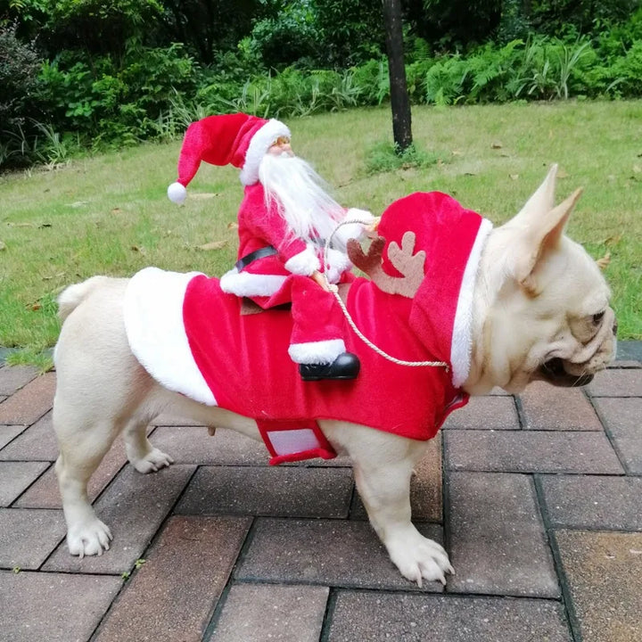 Santa Sleigh Dog Costume.